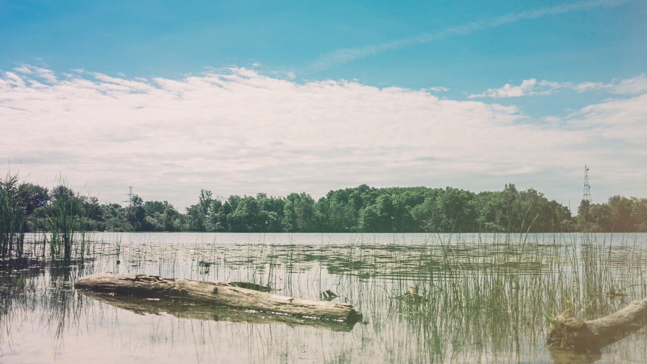 Fun Things to Do on Your Next Lakeside Getaway